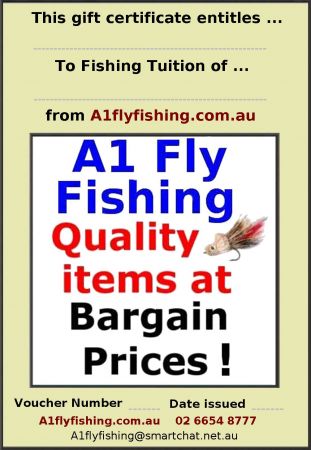 Gift Vouchers for fly fishing lessons !