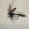 DRY Black Gnat - 1 dozen