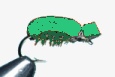 TERRESTRIAL Beetle Green Dry Foam - 1 dozen