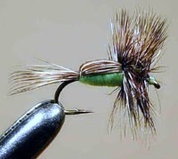 DRY Humpy GREEN - 1 dozen