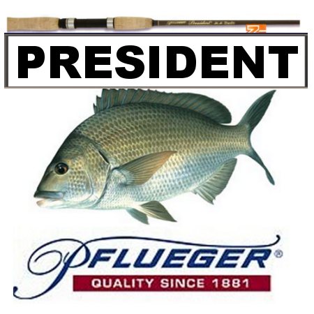 Pflueger PRESIDENT Fishing Baitcast Rod  6'3 - 6/10kg