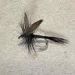 DRY Black Gnat - 1 dozen