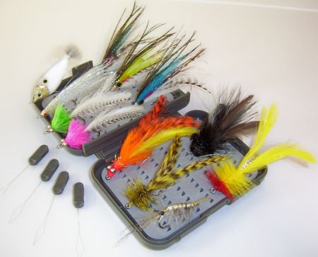 Essential TROPICAL Pack
