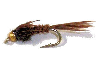 NYMPH Pheasant Tail Tungsten BEAD HEAD - 1 dozen