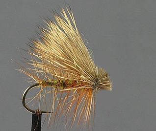 DRY Caddis Elk Hair Olive - 1 dozen