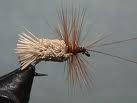 DRY Caddis Goddard Deer Hair - 1 dozen