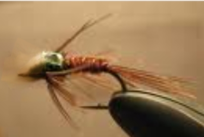 NYMPH Pheasant Tail Rubber Leg Flashback - 1 dozen