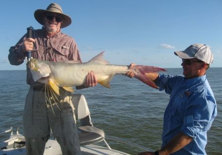 Vossy_Threadfin.jpg