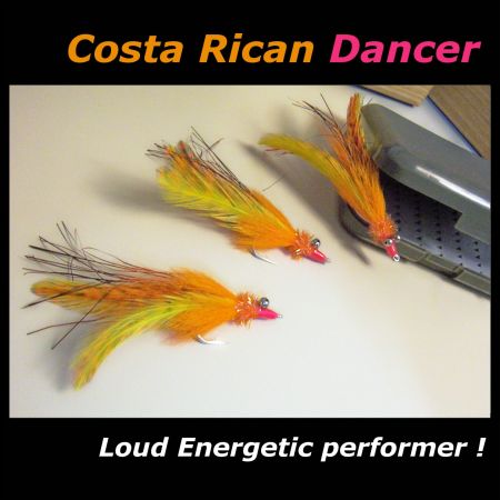 FLY - 3 COSTA RICAN DANCERS