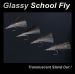 FLY - 4 GLASSY SCHOOL FLY
